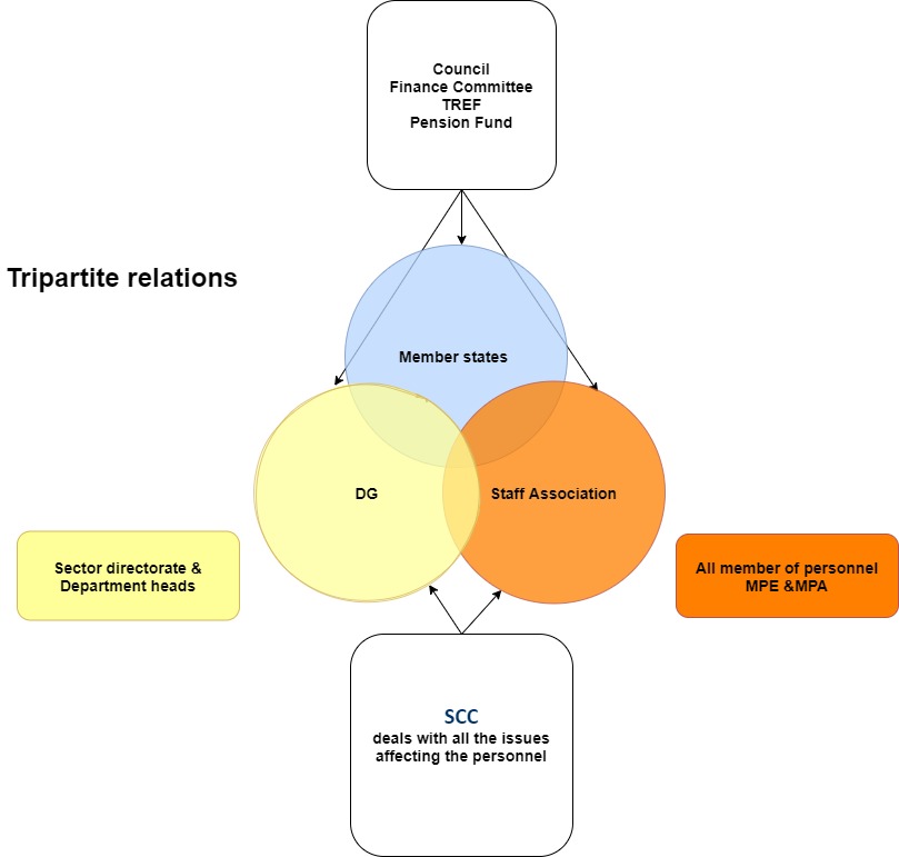 tripartite